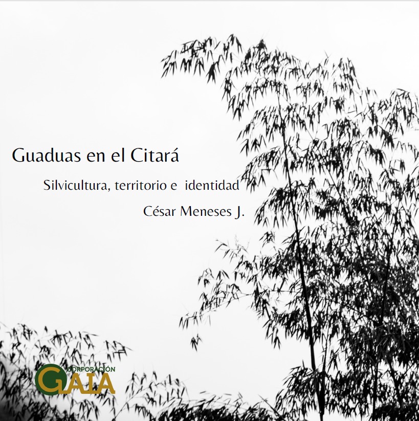 Guaduas en el Citará